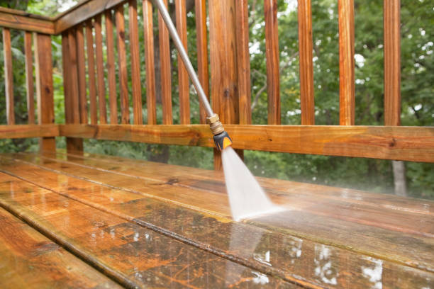 Professional Pressure Washing Services in Coaling, AL